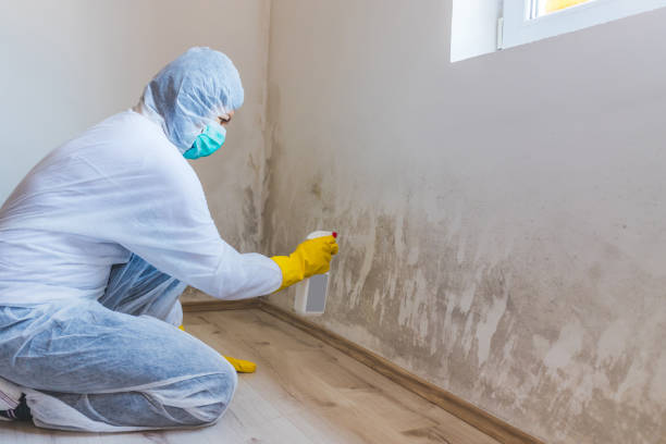 Bathroom Mold Removal assessment in Glencoe bathroom
